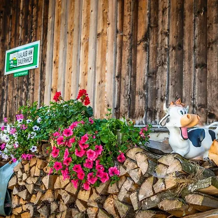 Semesterbostad Ferienhaeuschen Millinghof *